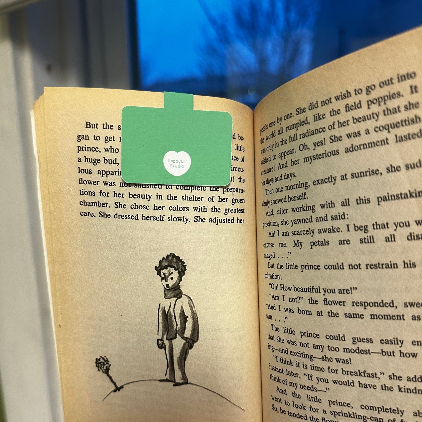 Fred Magnetic Bookmark